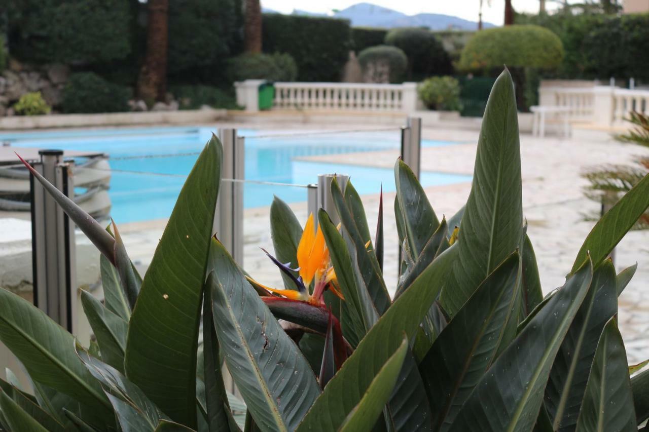 Appartement Palm D'Azur Κάννες Εξωτερικό φωτογραφία
